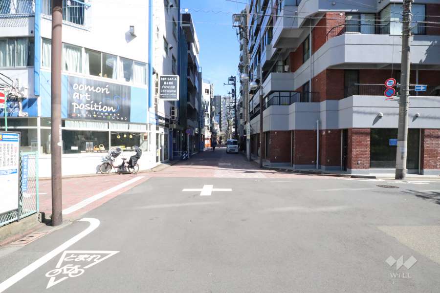 敷地西側の前面道路
