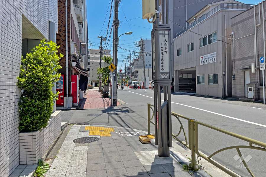 敷地の西側前面道路（北西側から）。