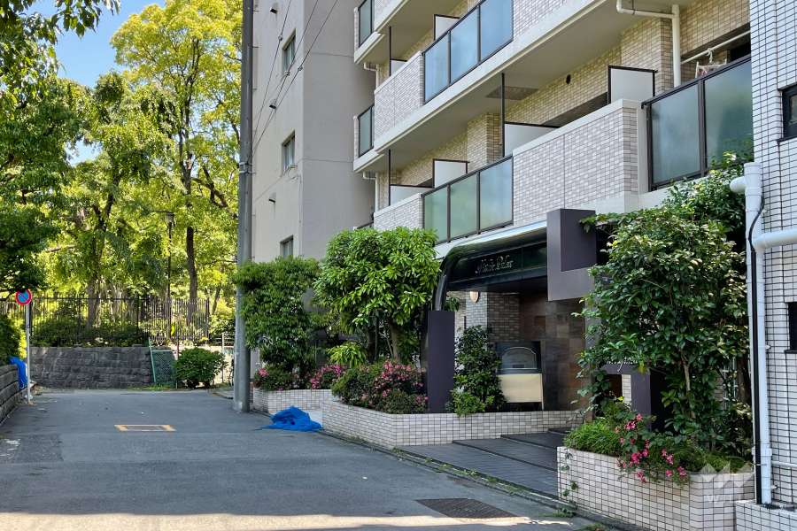敷地の北側前面道路（北西から）
