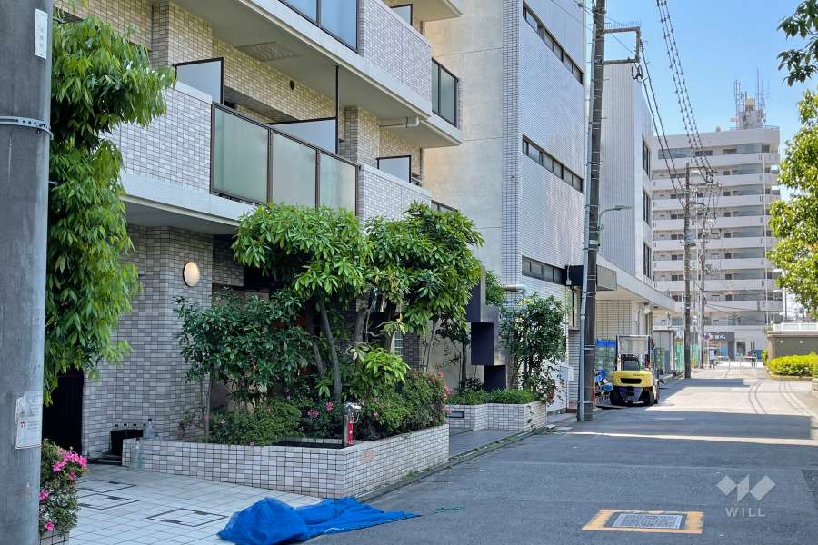 敷地の北側前面道路（北東から）