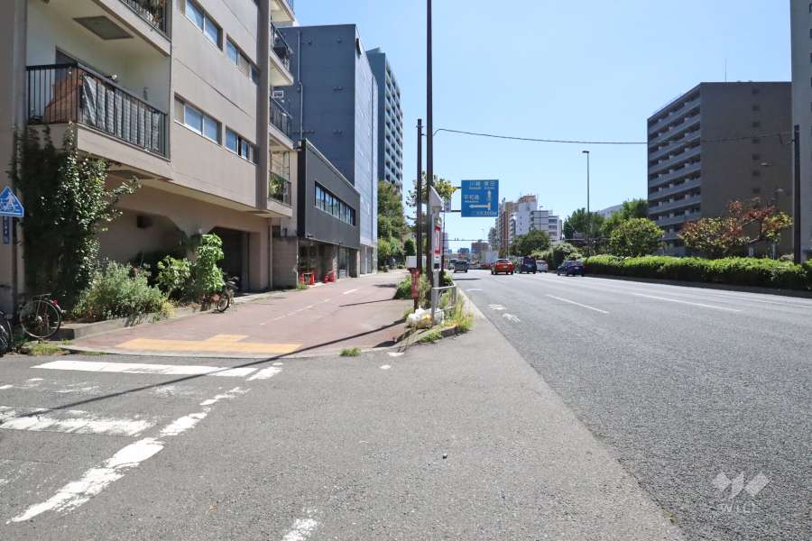敷地西側の前面道路（北側から）