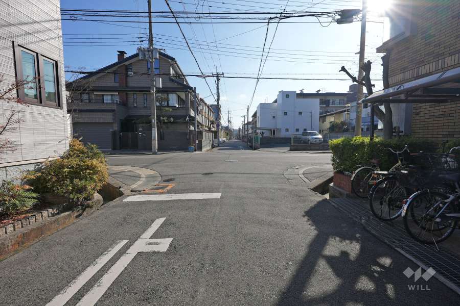 敷地北東側の前面道路（北西側から）