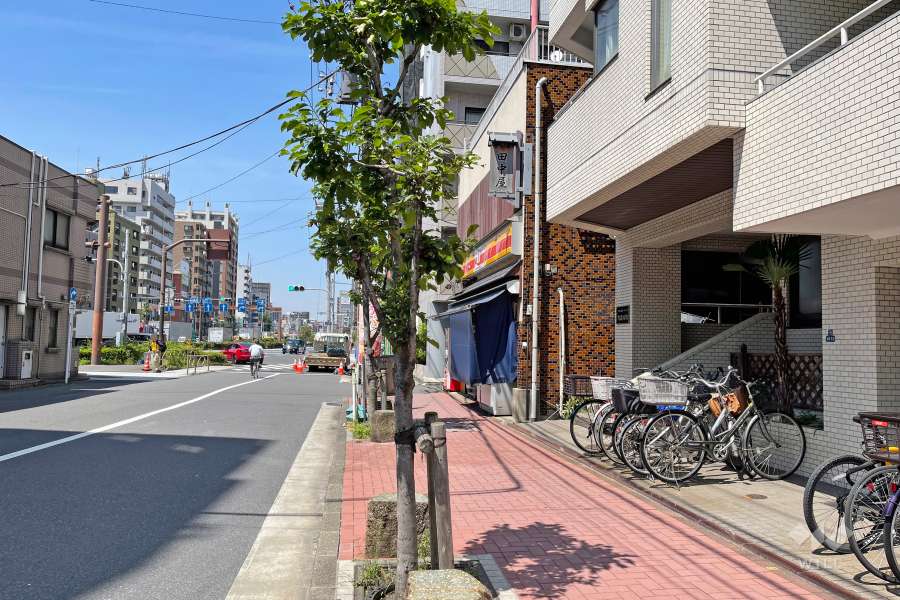 敷地西側の前面道路（南側から）