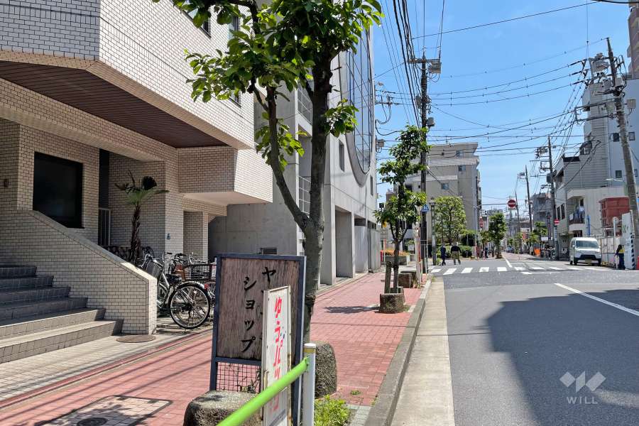 敷地西側の前面道路（北側から）
