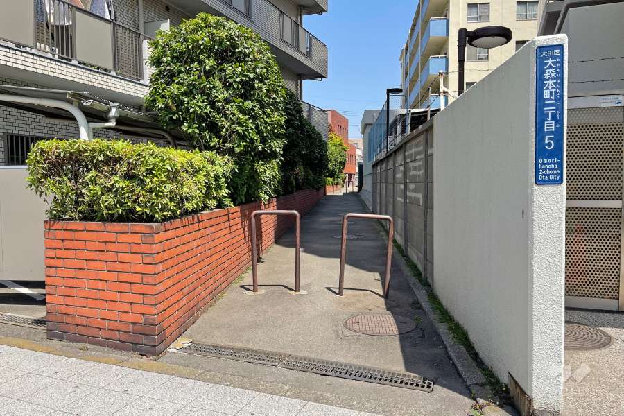 敷地南側の前面道路（西側から）