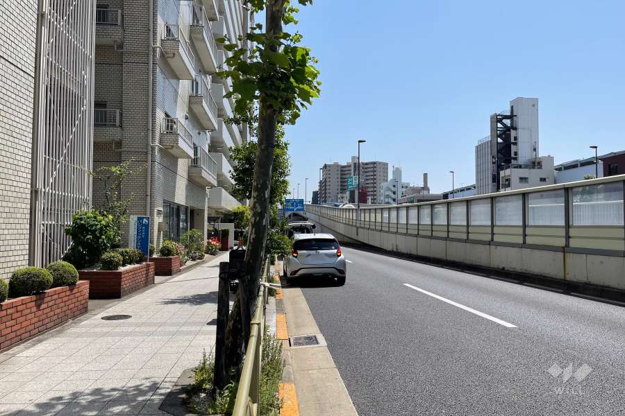 敷地西側の前面道路（北側から）
