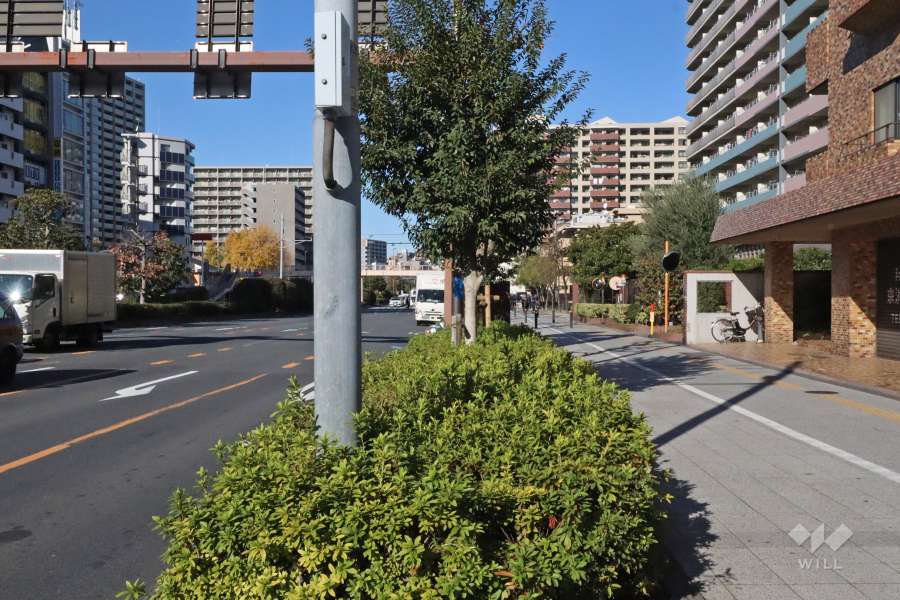 敷地西側の前面道路