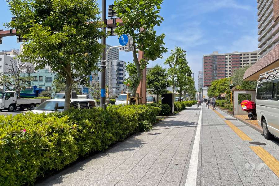 敷地の西側前面道路（南側から）