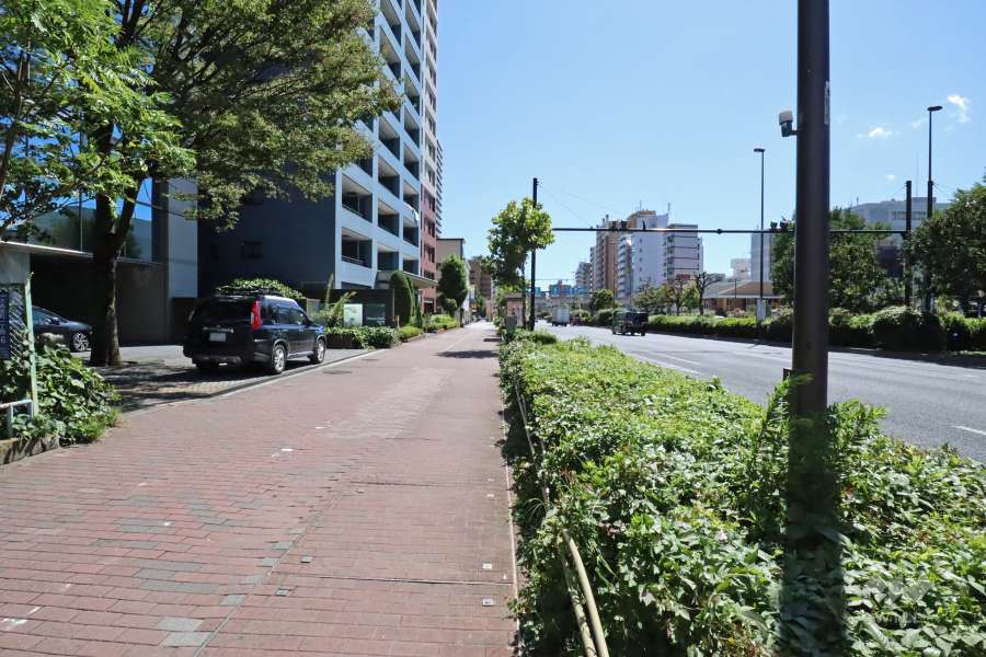 敷地西側の前面道路