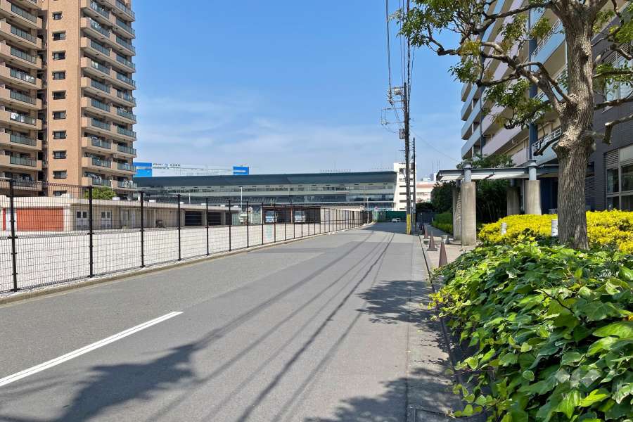 敷地北側の前面道路（西側から）