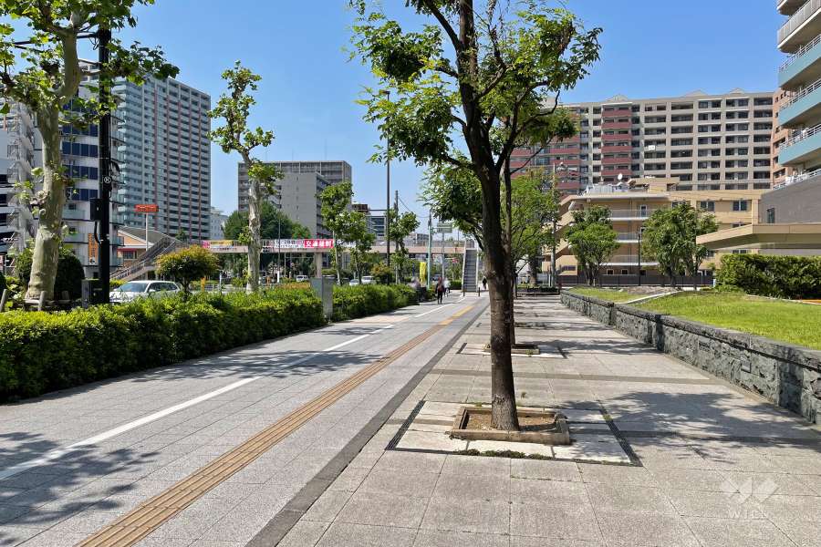 敷地西側の前面道路（国道15号・第一京浜）