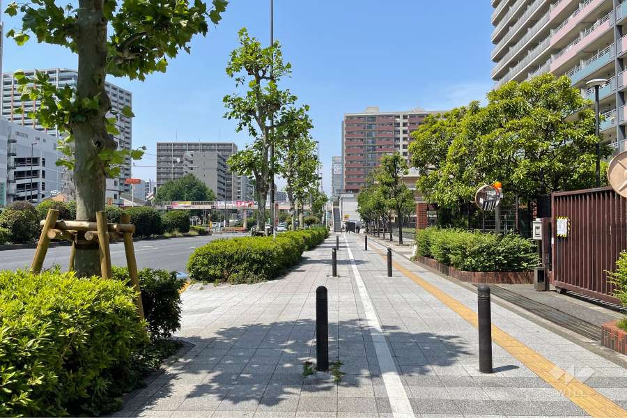 敷地西側の前面道路