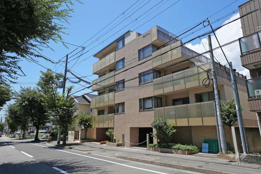 パレ・シェール苦楽園松風町の外観（東側から）