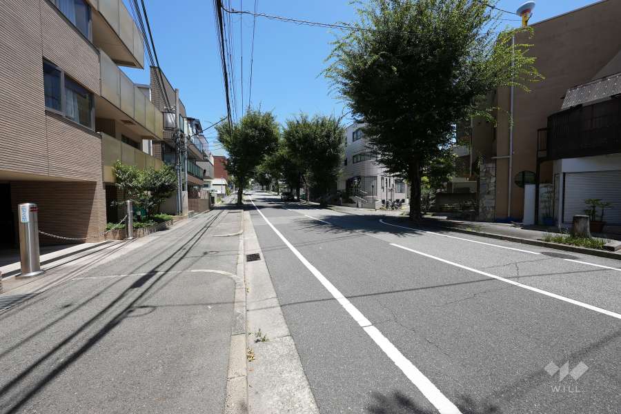 敷地南東側の前面道路（南西側から）