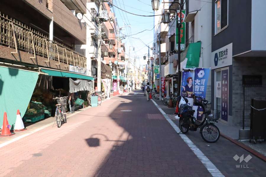 敷地南側の前面道路　