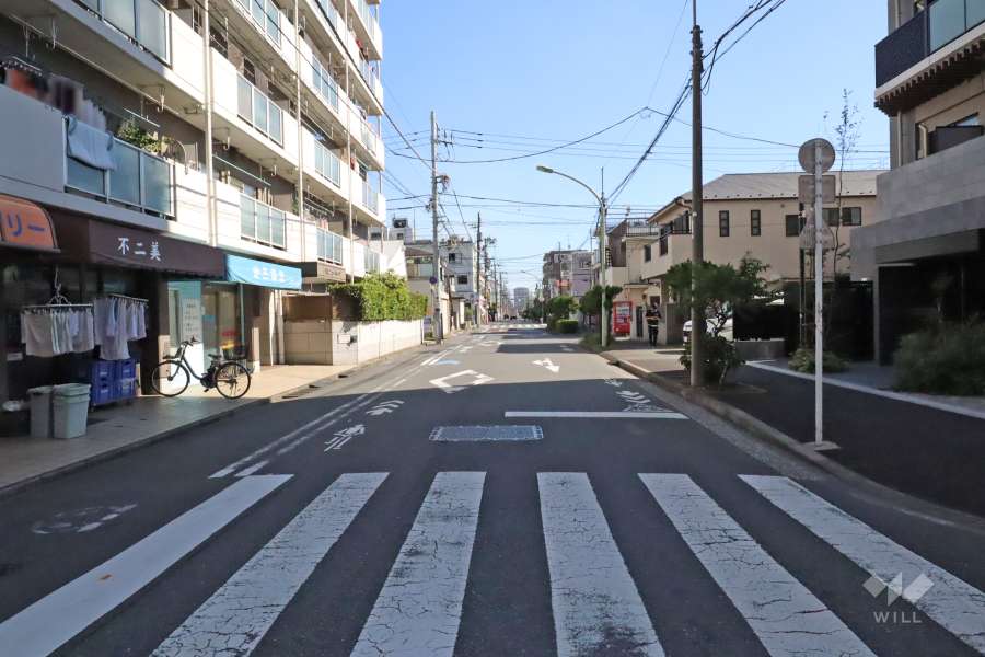 敷地西側の前面道路(北側から)