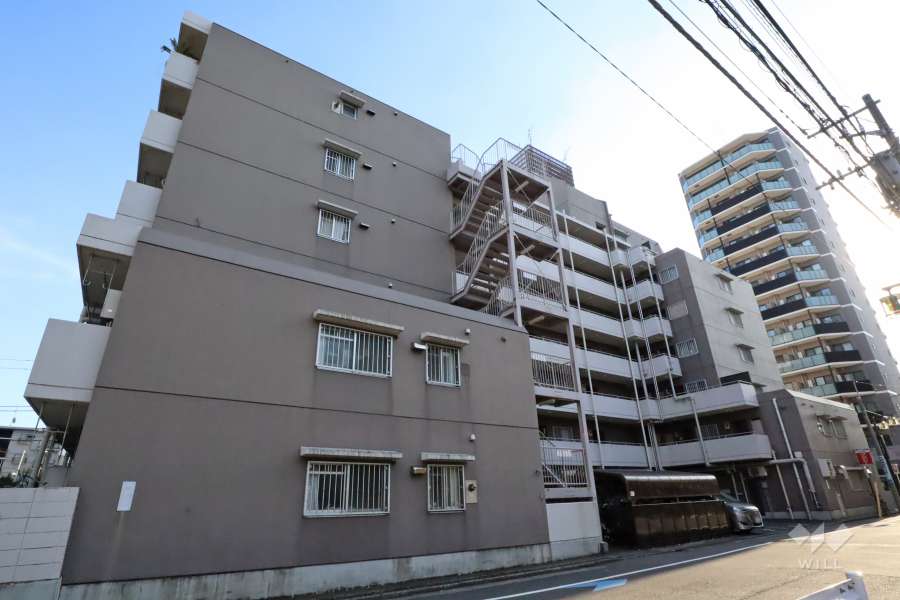 池上ニューハイツの外観(北東側から)