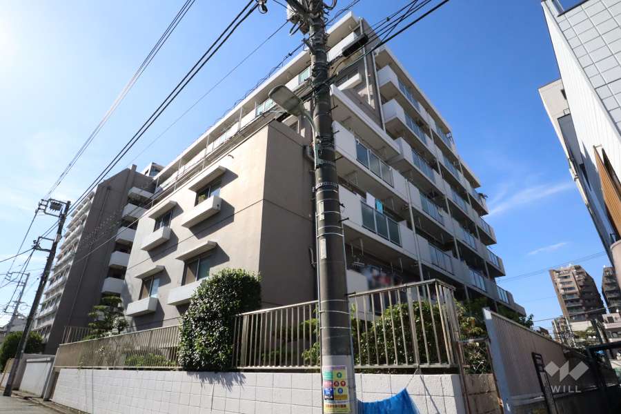 池上ニューハイツの外観(南東側から)