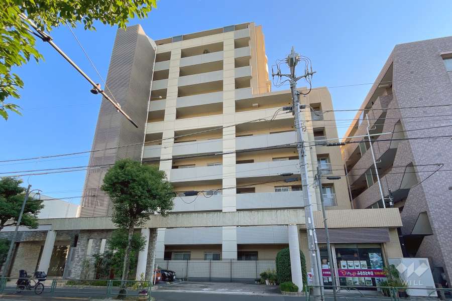 クレアシティ池上の外観（北西側から）