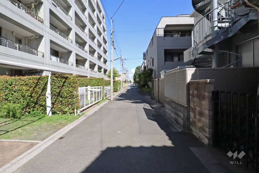 敷地南側の前面道路（西側から）