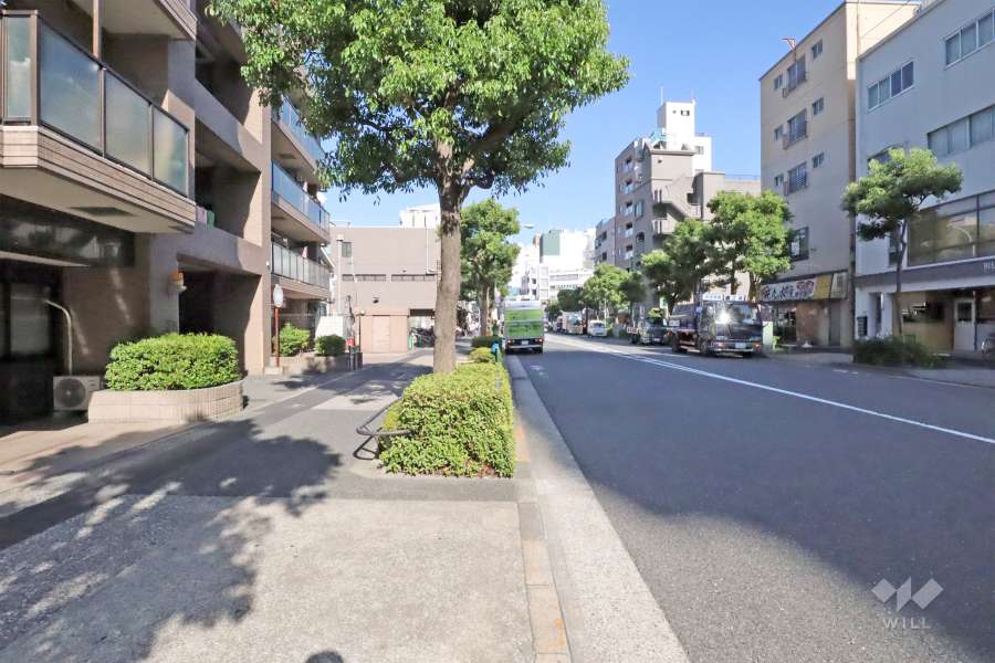 敷地南側の前面道路(西側から)