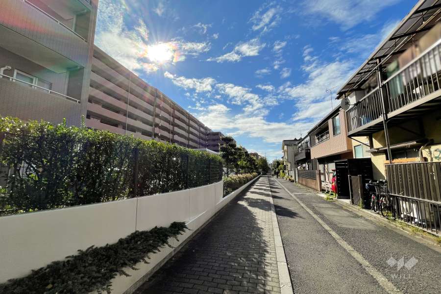 敷地北側の前面道路（東側から）