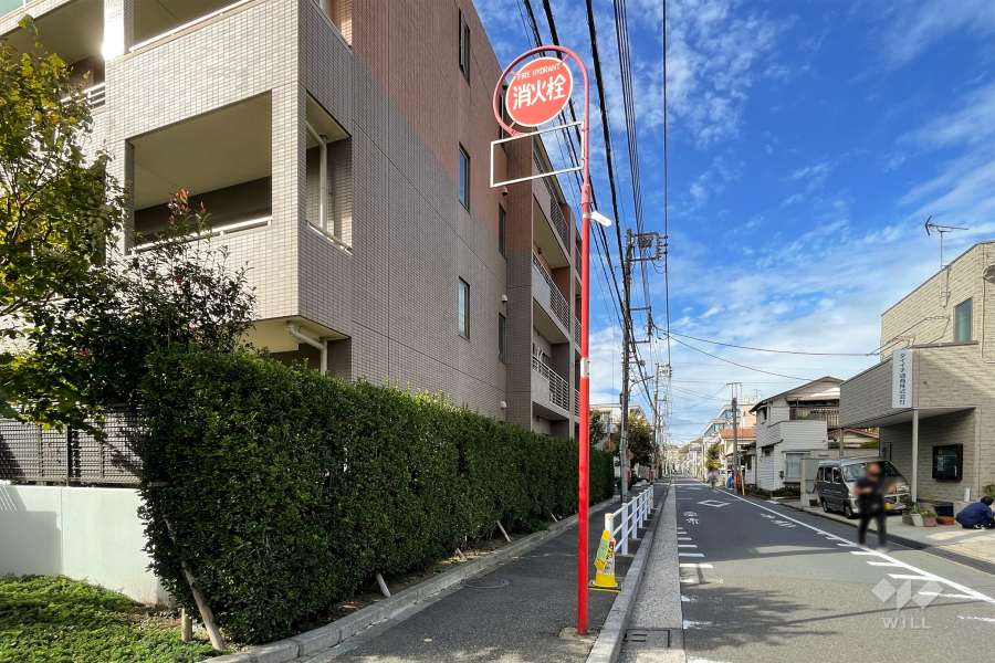 敷地東側の前面道路（南側から）