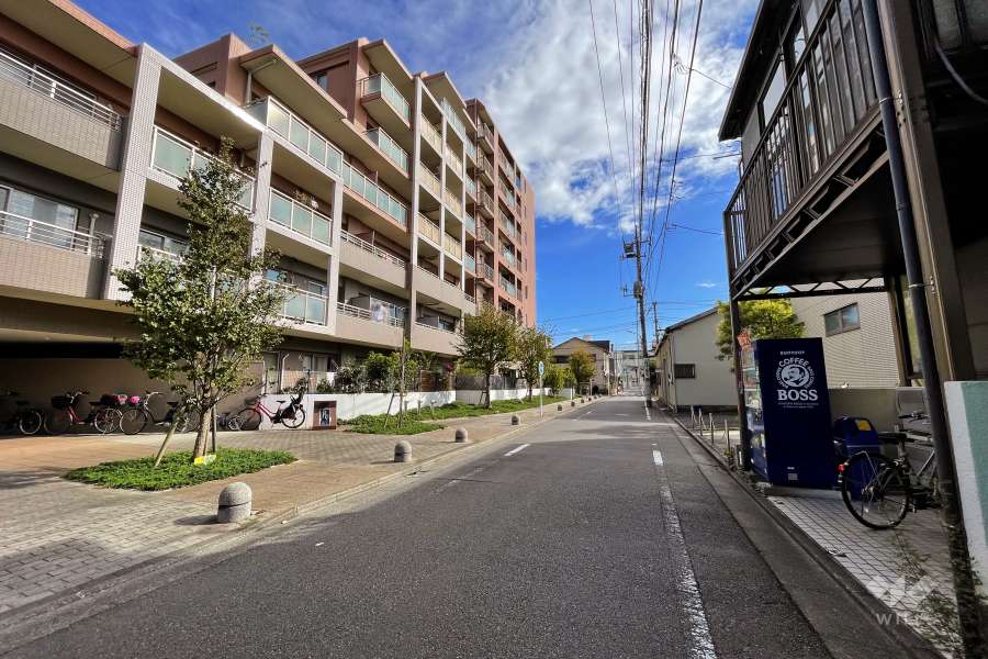 敷地西側の前面道路（北側から）