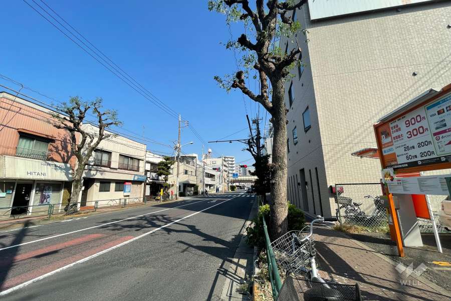 敷地北西側の前面道路（南西側から）