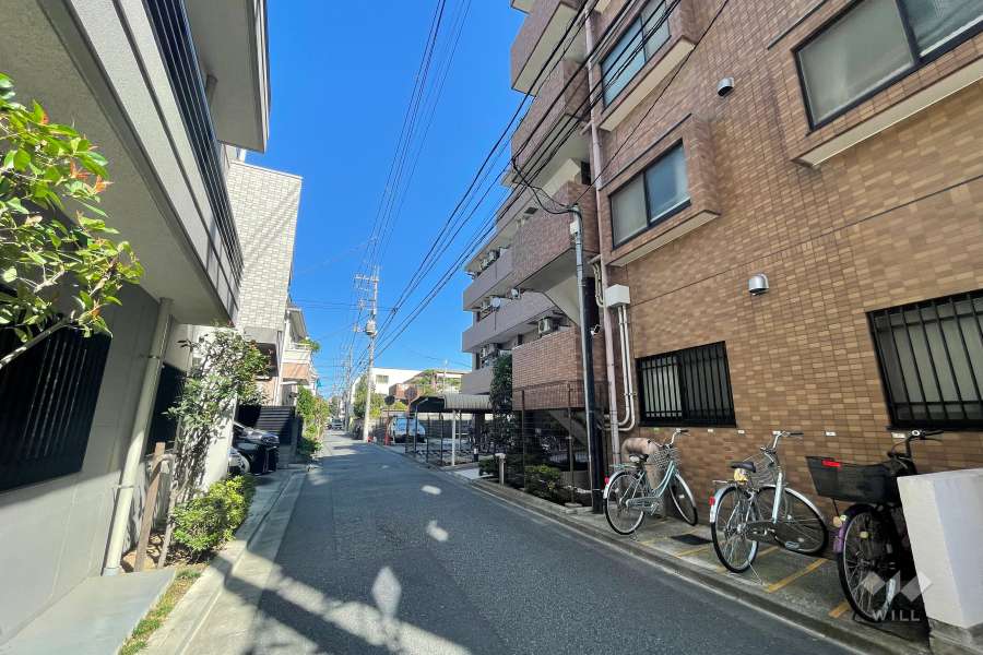 敷地西側の前面道路（南側から）