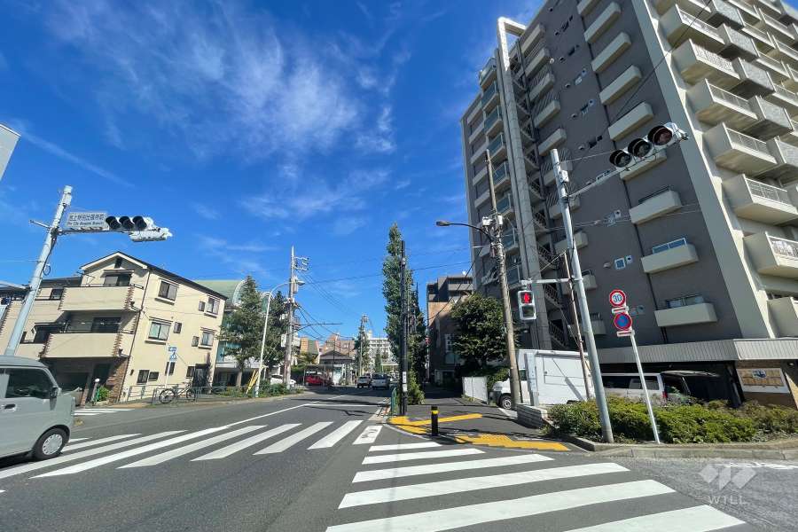 敷地北西側の前面道路（南西側から）