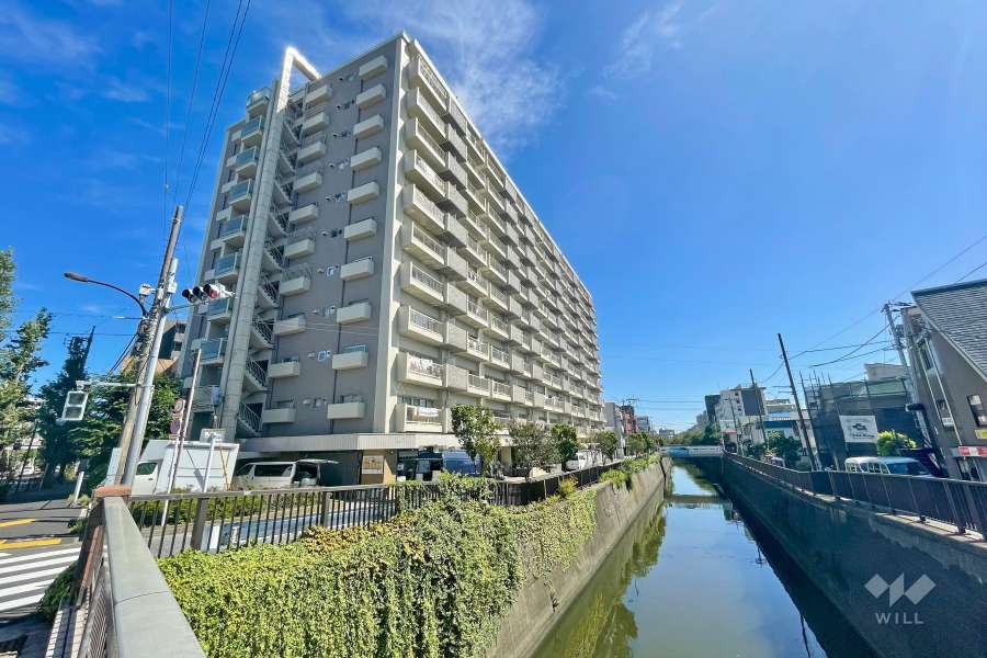 マンション池上の外観（北西側から）