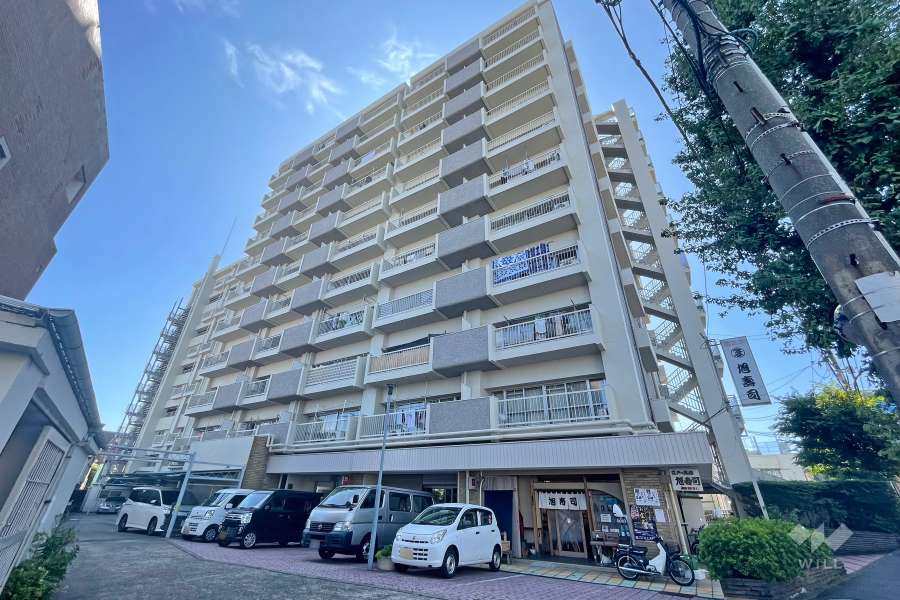 マンション池上の外観（北東側から）