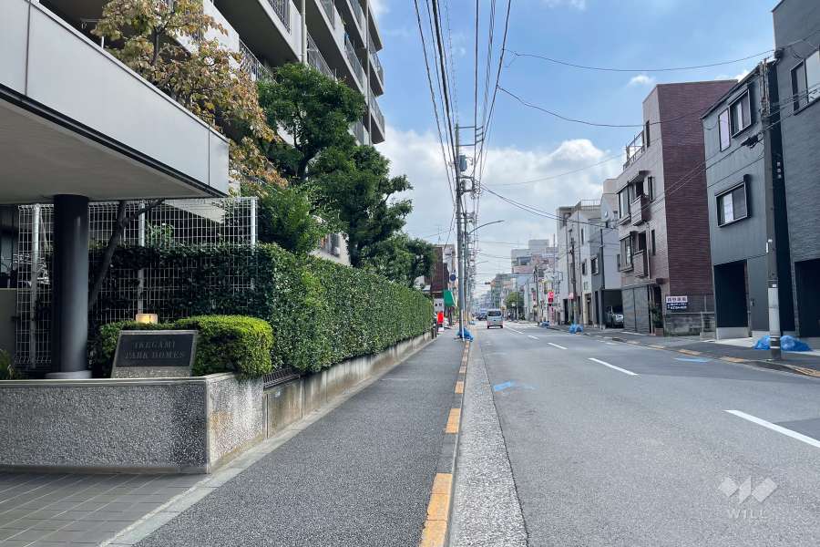 敷地の南側前面道路（西側から）