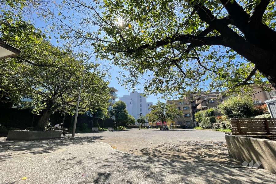 敷地の西側にある公園（さくら通り三丁目公園）