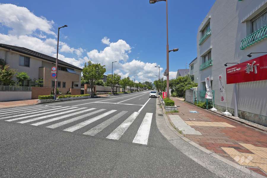 敷地西側の前面道路（南側から）