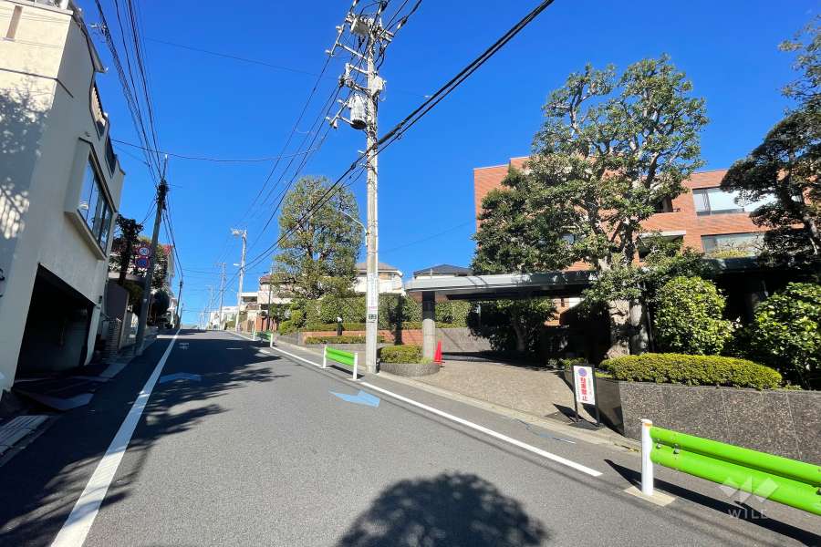 敷地の南西側前面道路（南東側から）