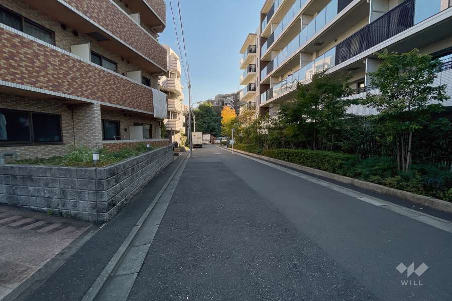 敷地西側の前面道路（北側から）