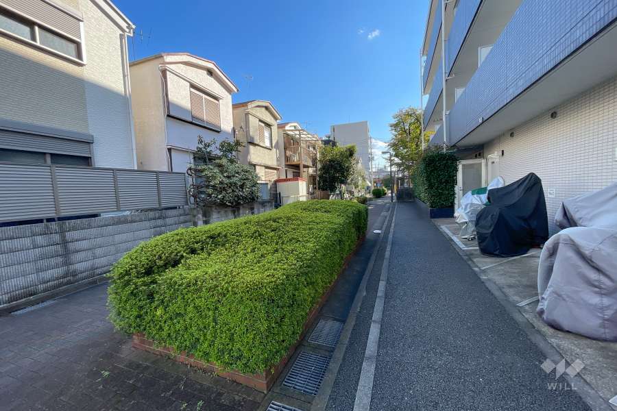 敷地東側の前面道路（北側から）