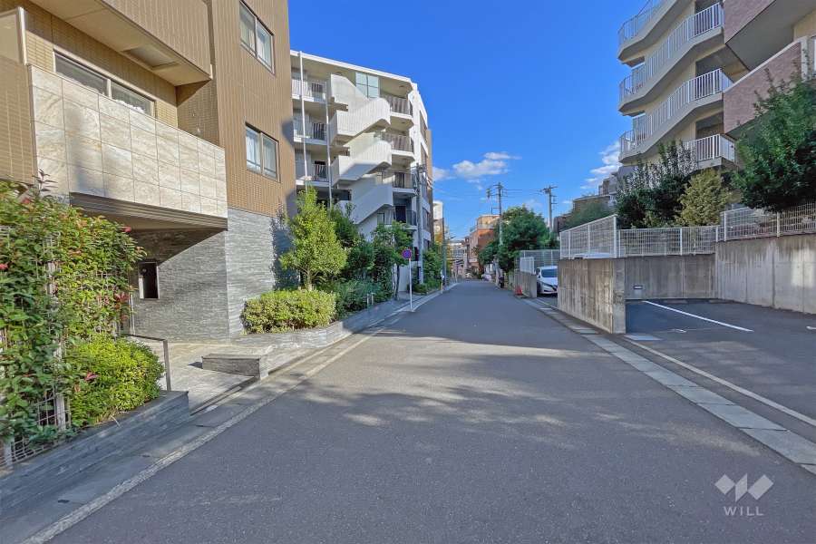 敷地前面南西側前面道路（北西側から）