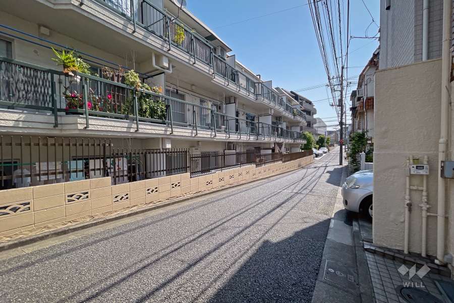 敷地南側の前面道路（西側から）