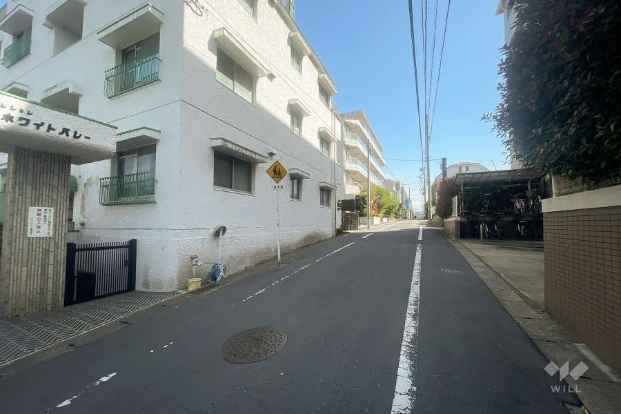 敷地西側の前面道路（北側から）