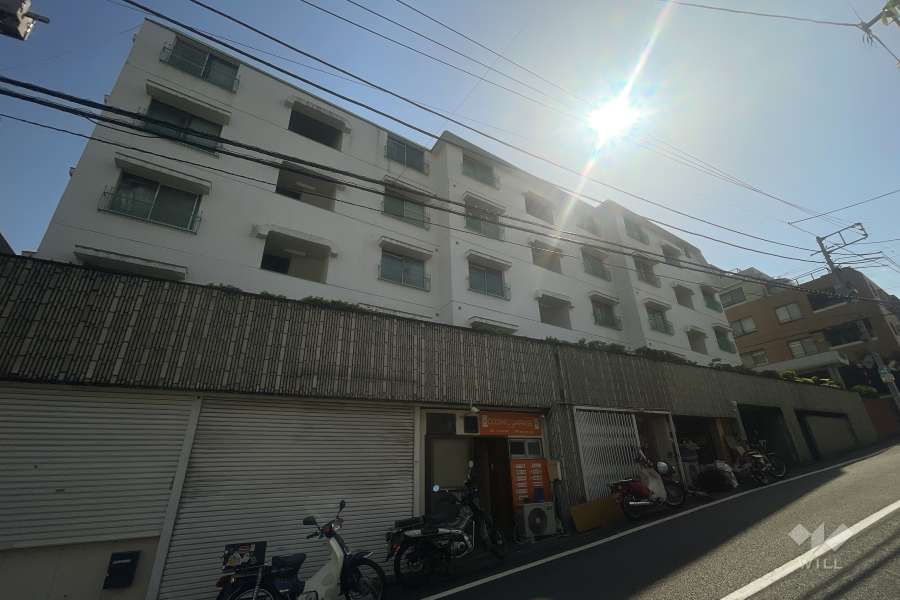 マンションホワイトバレーの外観（北東側から）
