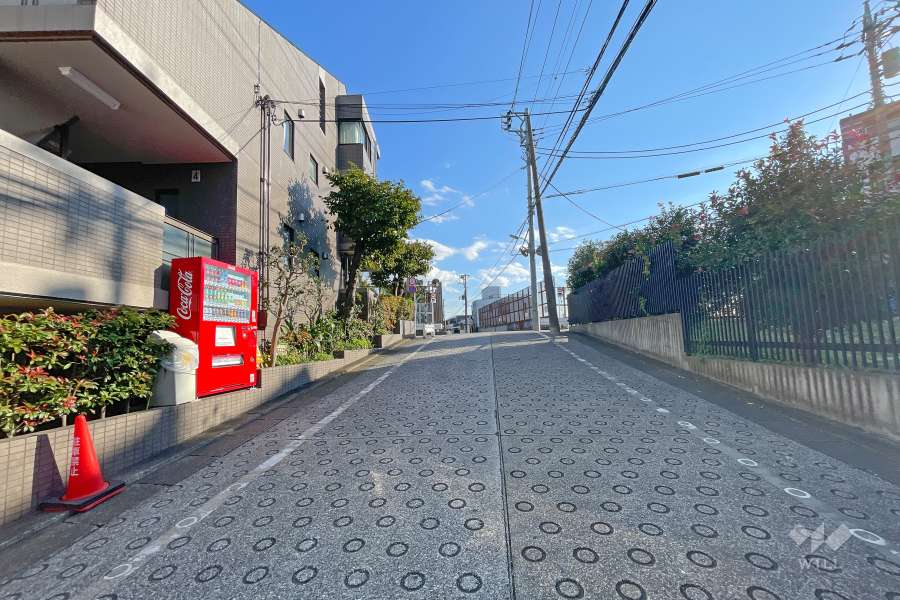 敷地西側の前面道路（北側から）
