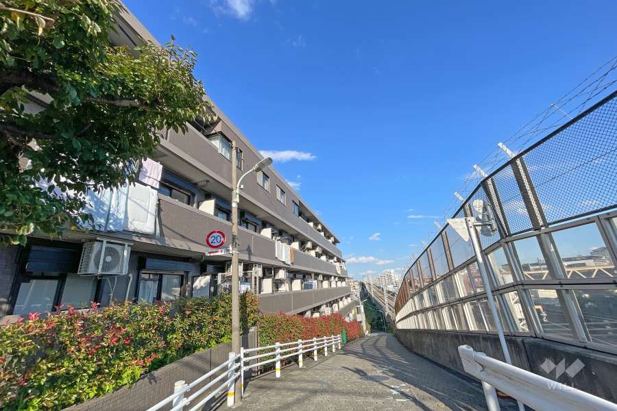 敷地南側の前面道路（西側から）