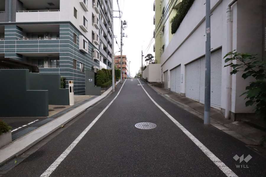 敷地西側の前面道路(南側から)