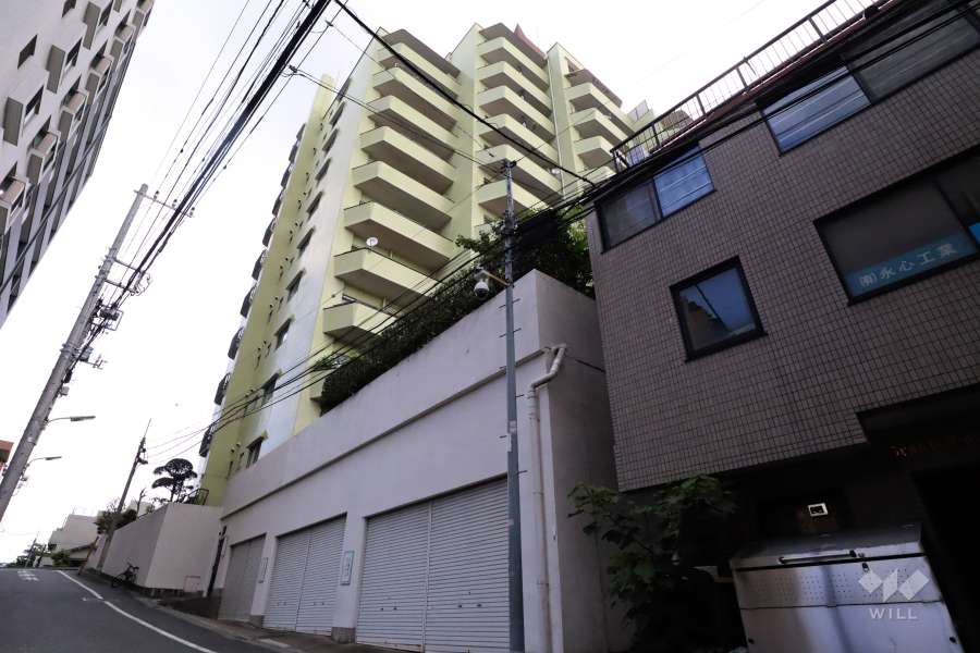 ロイヤルパレス馬込の外観(南西側から)
