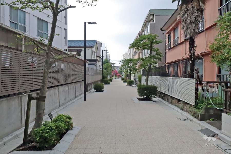 敷地西側の前面道路は『桜のプロムナード』です（北側から)。