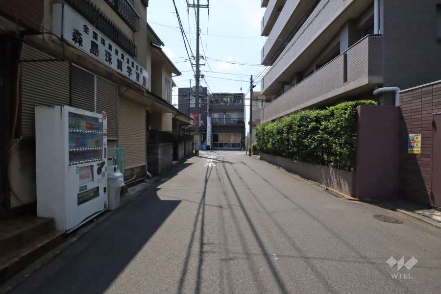 敷地南側の前面道路(東側から)