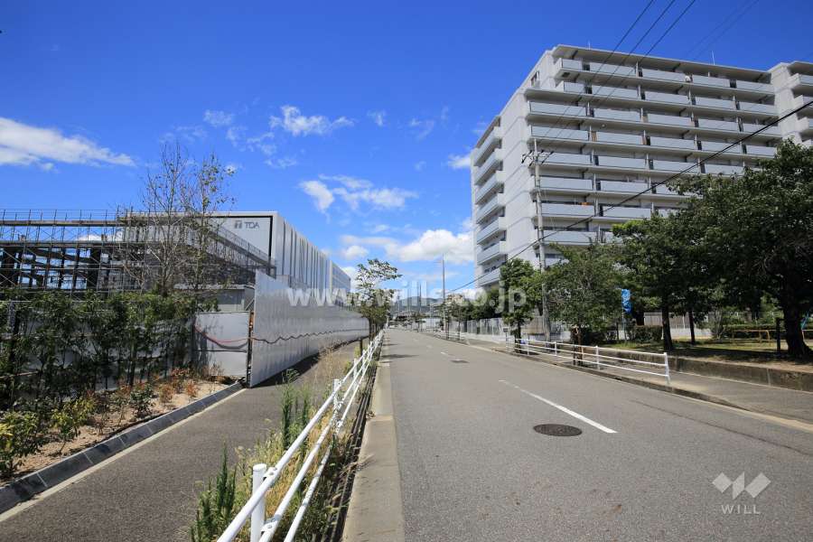 敷地西側の前面道路